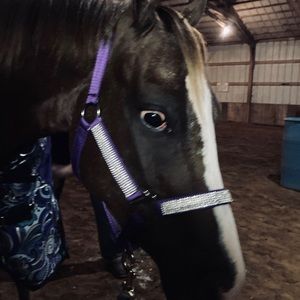 Meet your Posher, Leilah